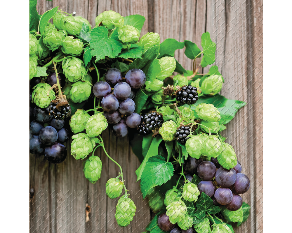 STEWO Serviette Benedikt 33x33cm 2572607745 grün 20 Stück