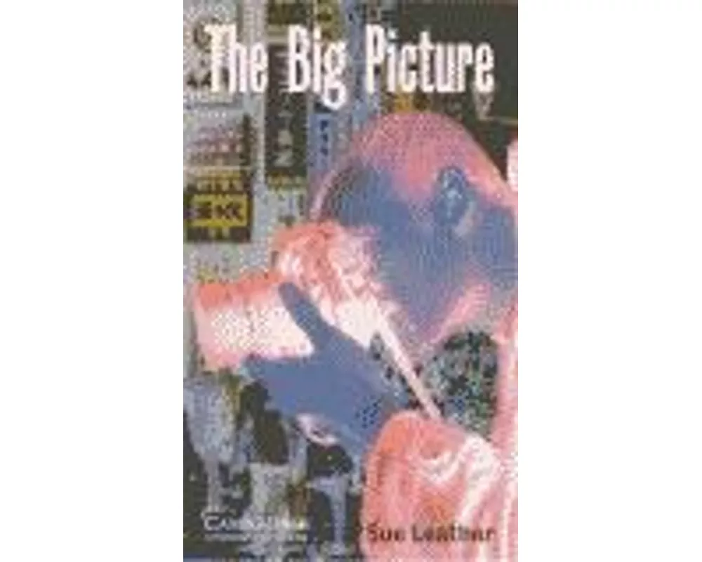 The Big Picture Level 1 Beginner/Elementary