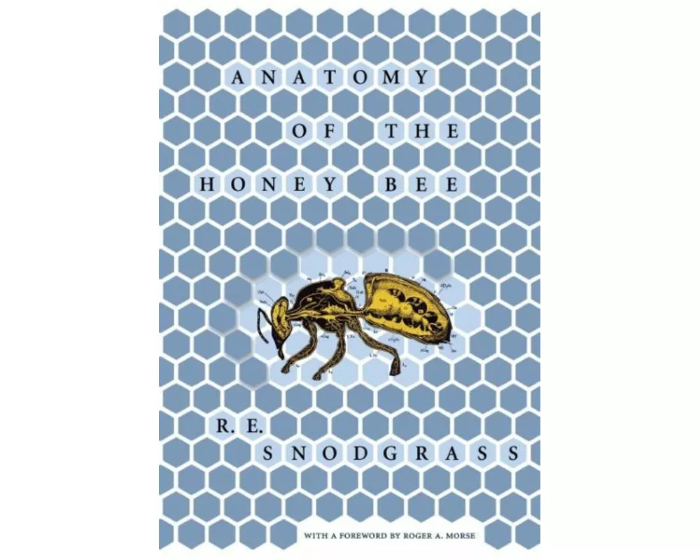 Anatomy of the Honey Bee