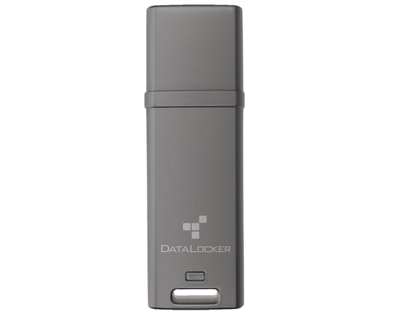 DATALOCKER 64GB DL GO 256BIT
