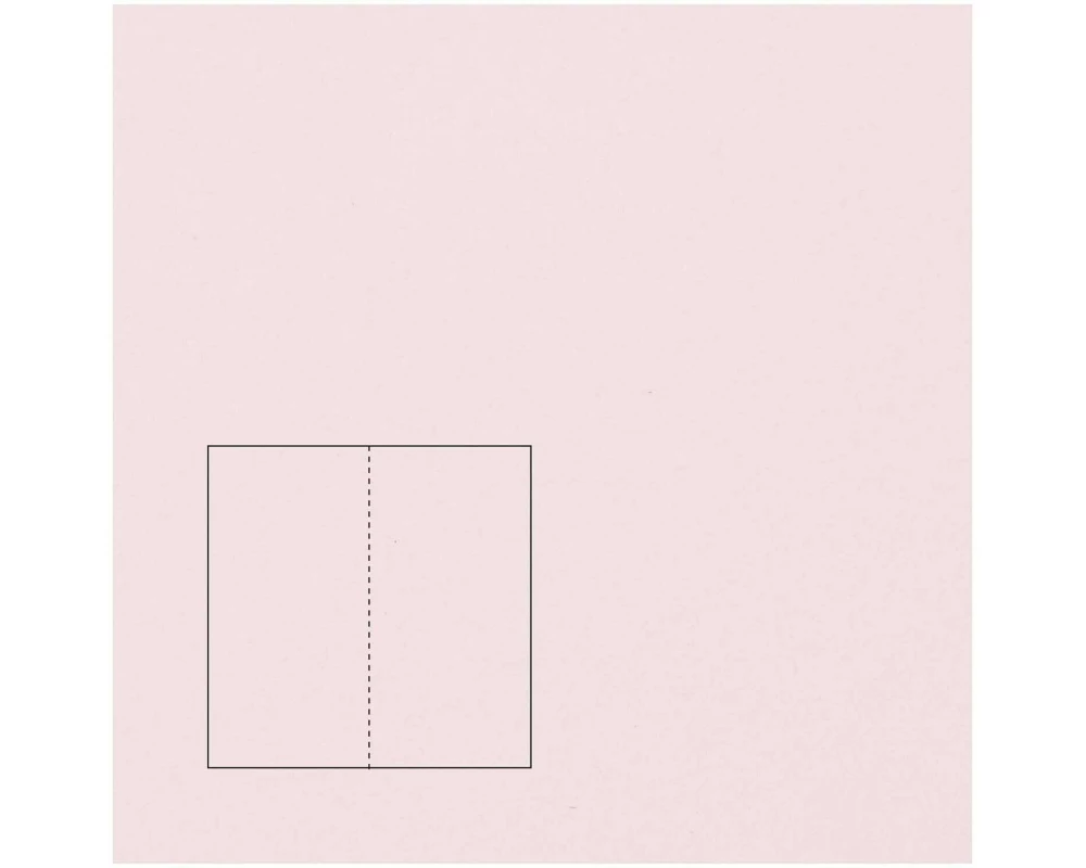 Rico Design Paper Poetry Essentials DL Klappkarte lang A6, Rosa