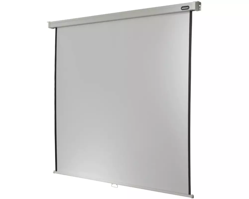 Celexon Rollo-Leinwand Pro 270x270 cm 1:1