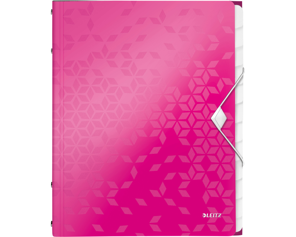 LEITZ Ordnungsmappe WOW PP A4 46340023 pink 12-teilig