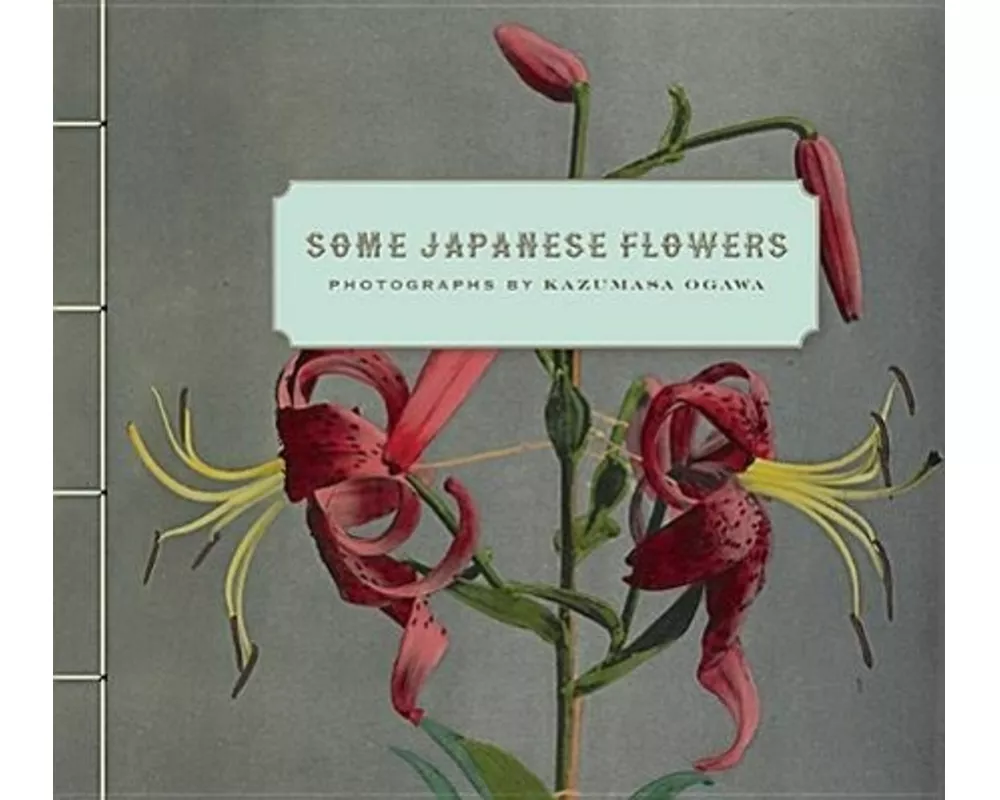 Some Japanese Flowers – Photographs by Kazumasa Ogawa