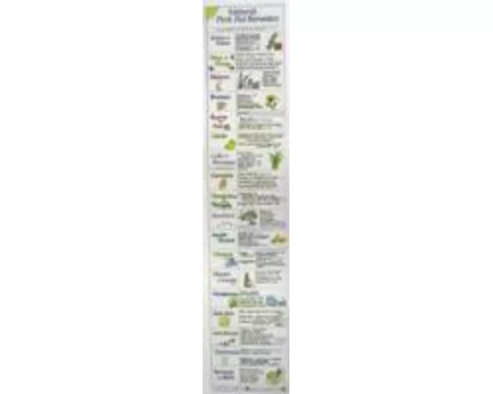 Natural First Aid Remedies Chart