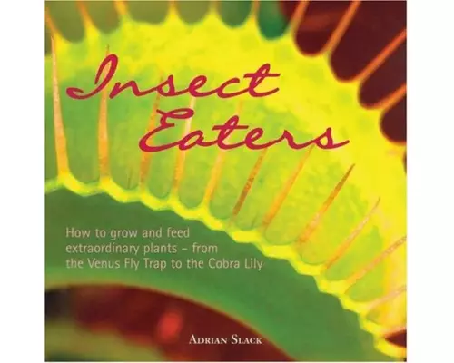 Insect Eaters