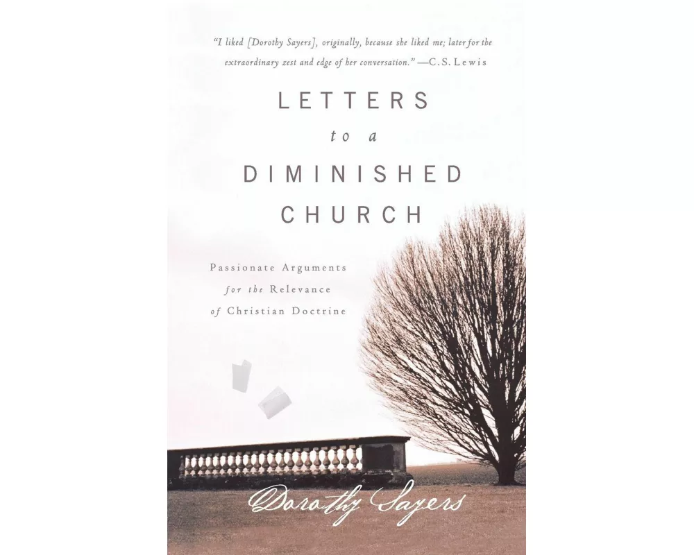 Letters to a Diminished Church