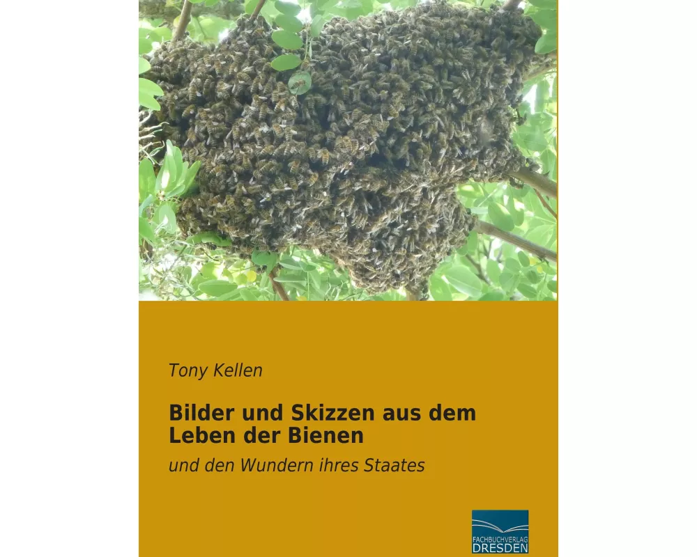 Bilder und Skizzen aus dem Leben der Bienen