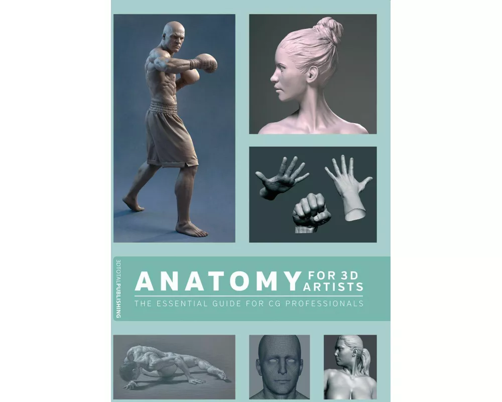 Anatomy for 3D Artists
