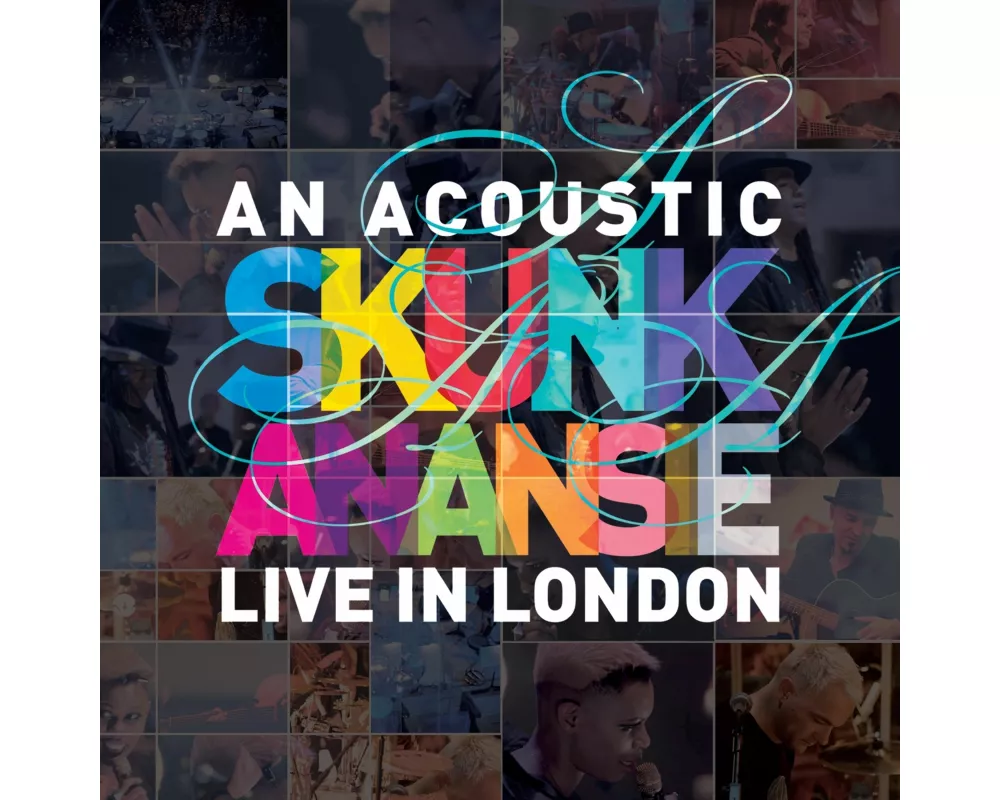 An Acoustic Skunk Anansie-Live In London