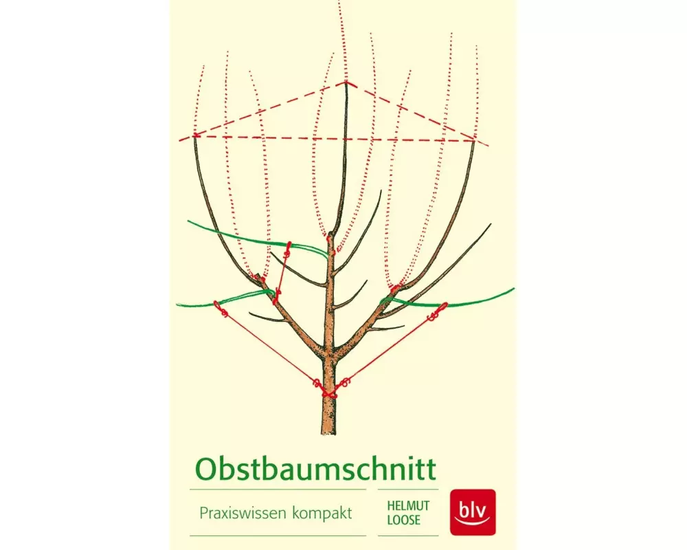 Obstbaumschnitt