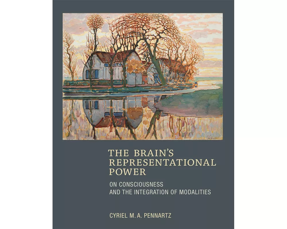 The Brain's Representational Power