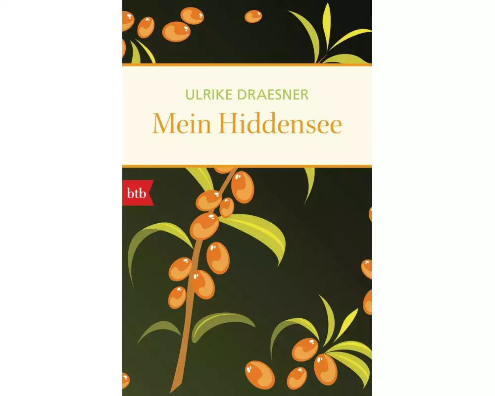 Mein Hiddensee