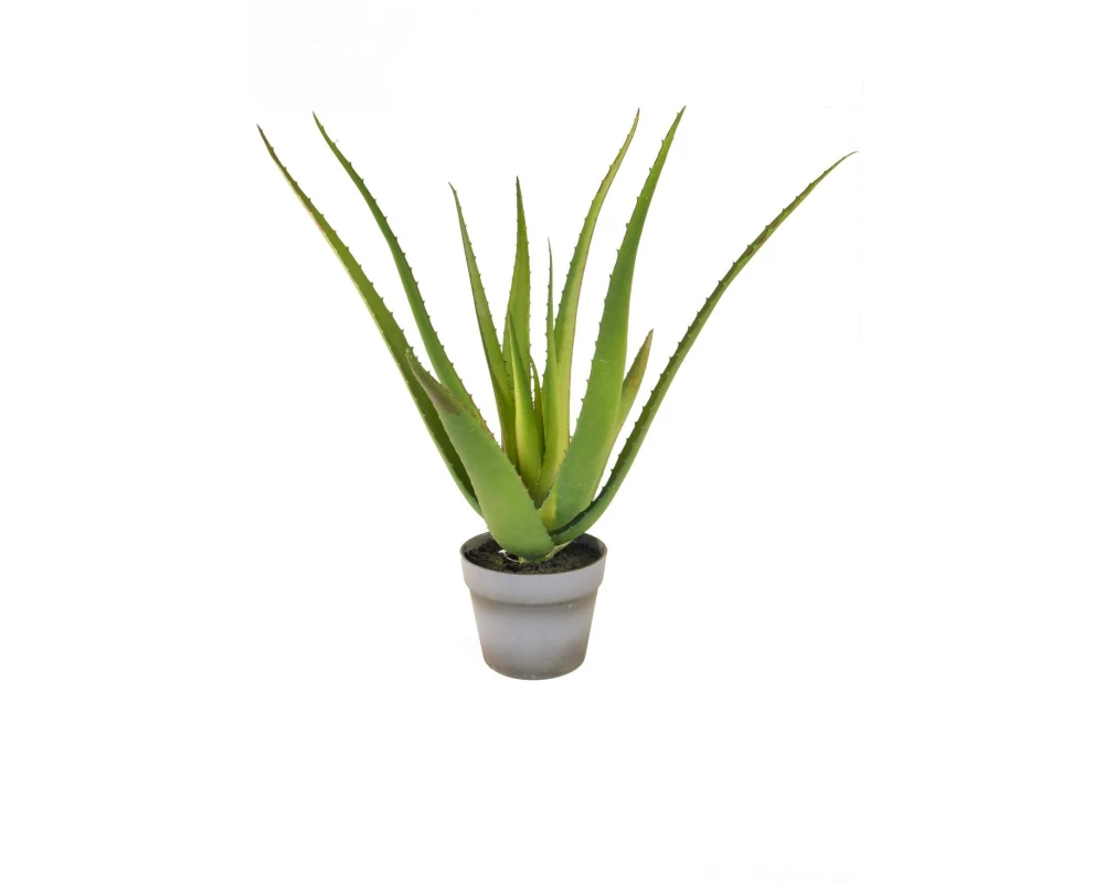 Botanic-Haus Kunstpflanze Aloe im Topf 50 cm