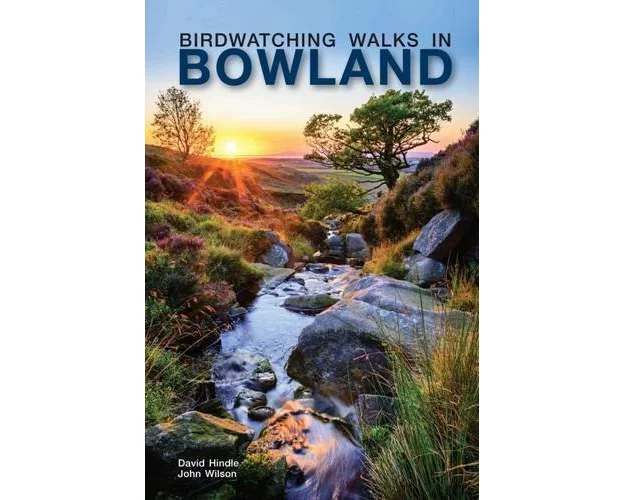 Birdwatching Walks in Bowland