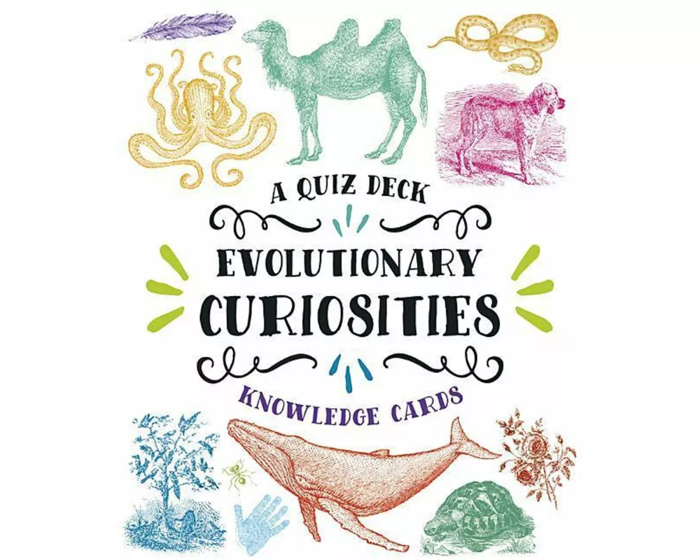 Evolutionary Curiosities Knowledge Cards