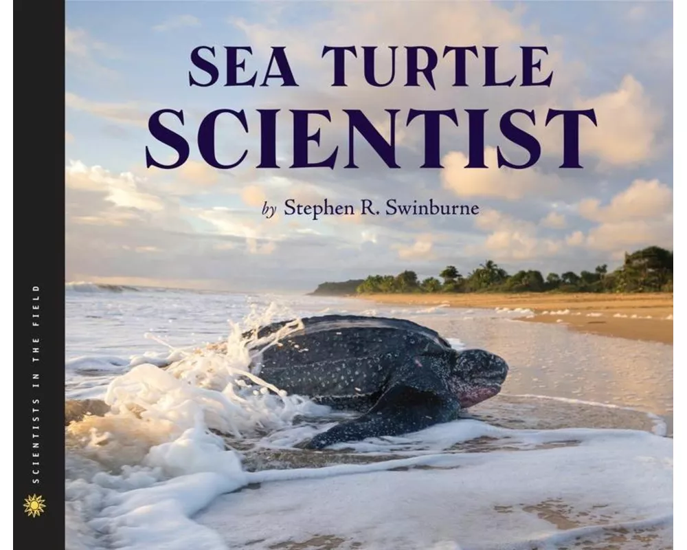 Sea Turtle Scientist
