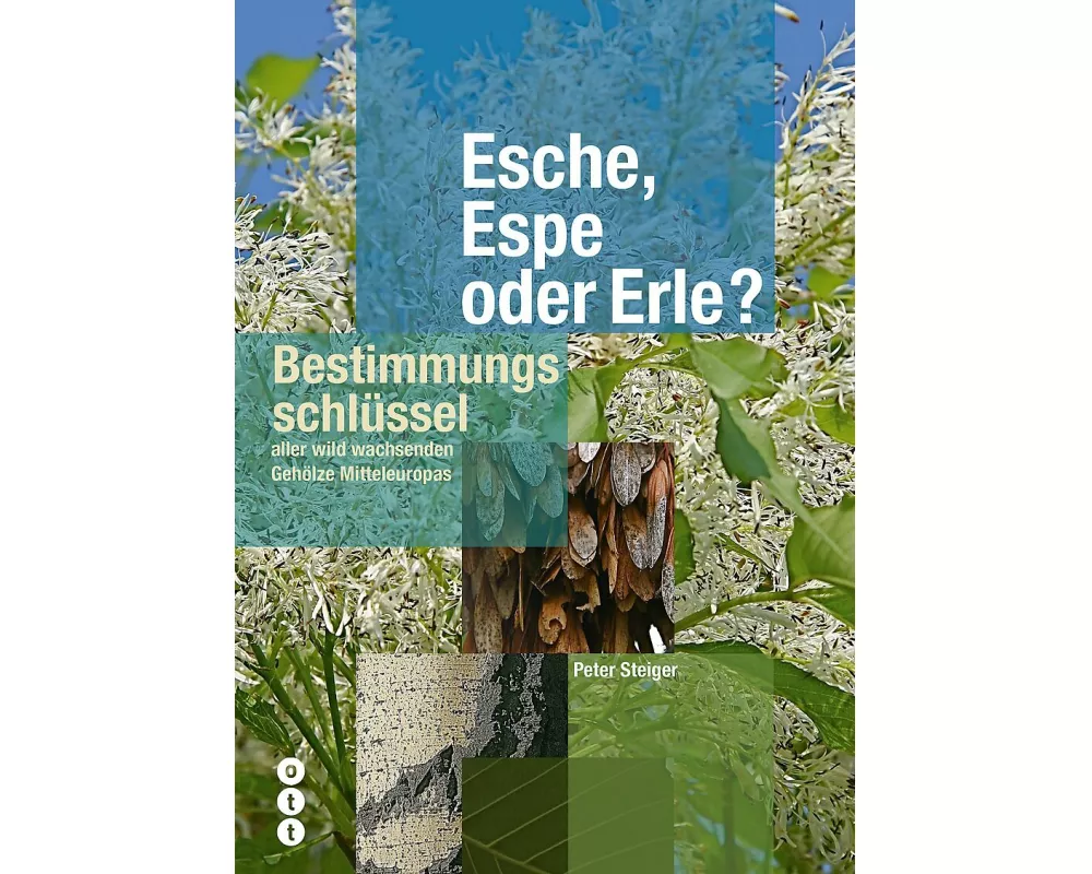 Esche, Espe oder Erle?