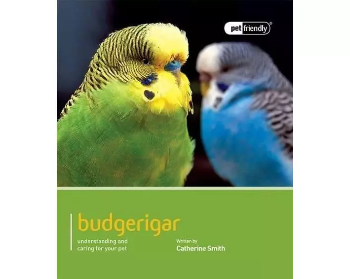 Budgeriegars - Pet Friendly