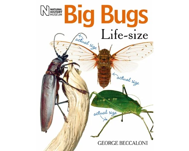 Big Bugs Life-Size