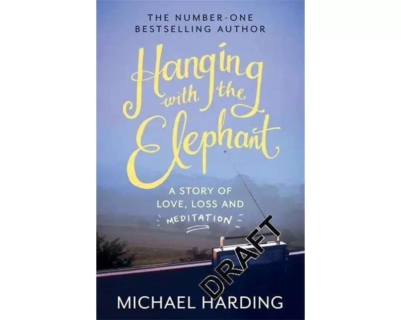 Hanging with the Elephant