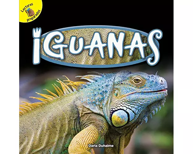 Iguanas