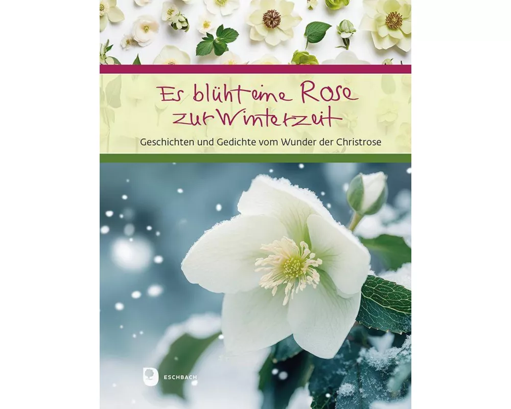 Es blüht eine Rose zur Winterzeit