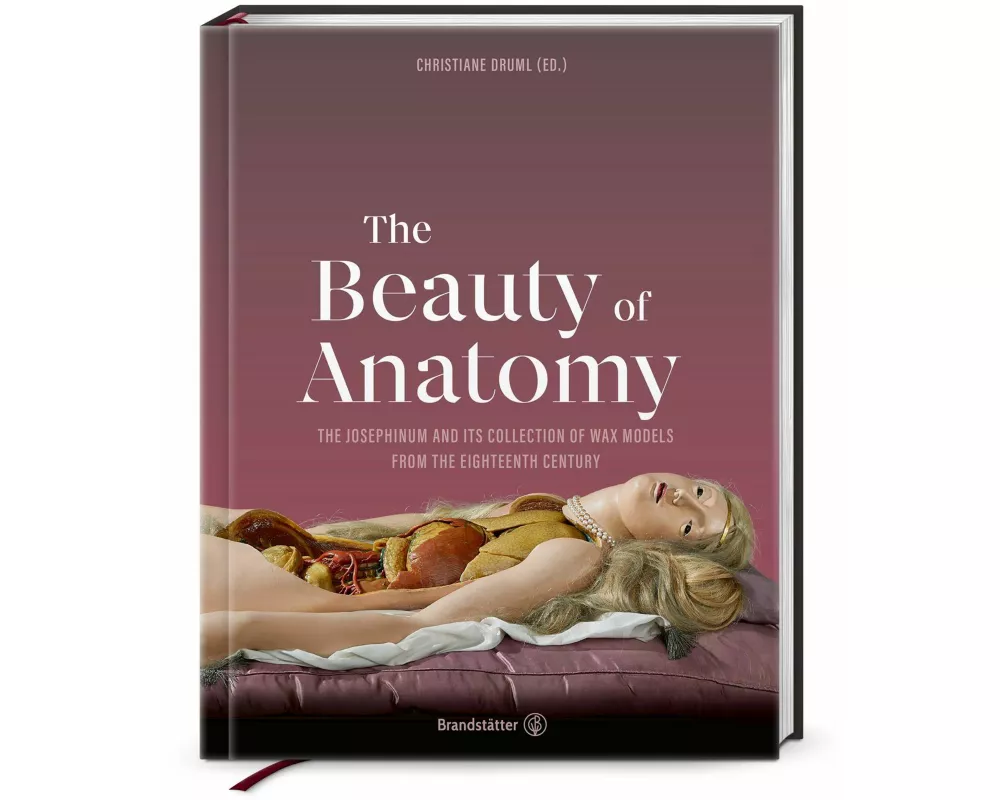 The Beauty of Anatomy