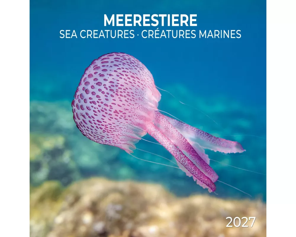 Meerestiere / Sea Creatures 2027