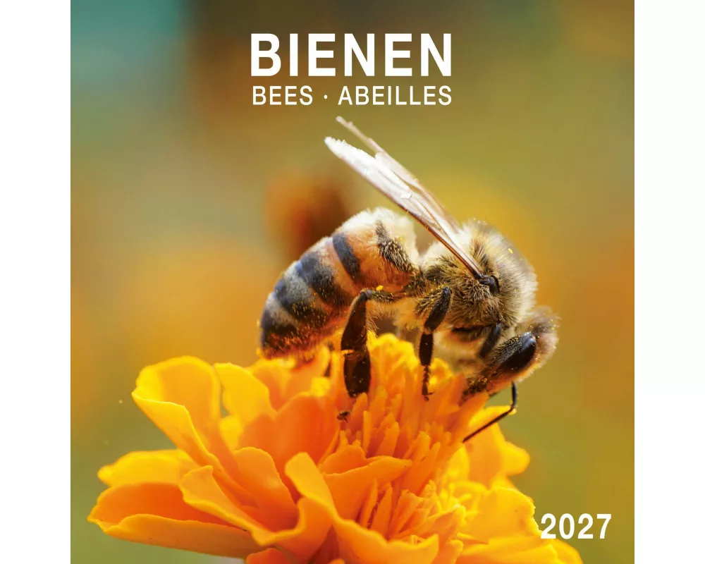Bienen / Bees 2027