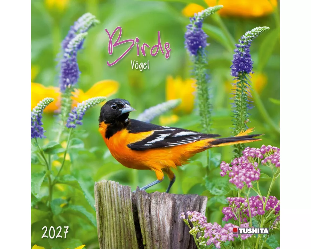 Birds 2027