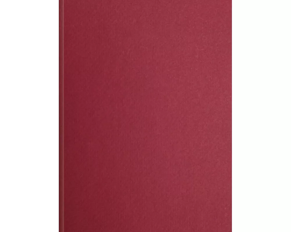 Chef-Timer Premium bordeaux 2027