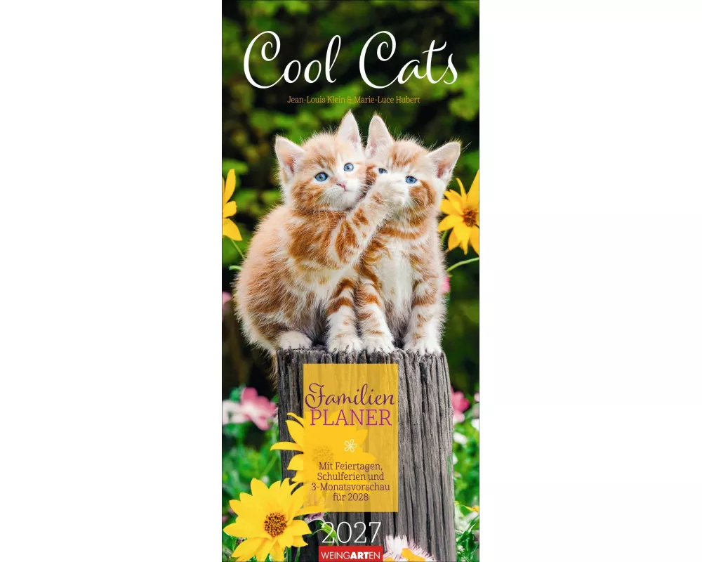 Cool Cats Familienplaner 2027
