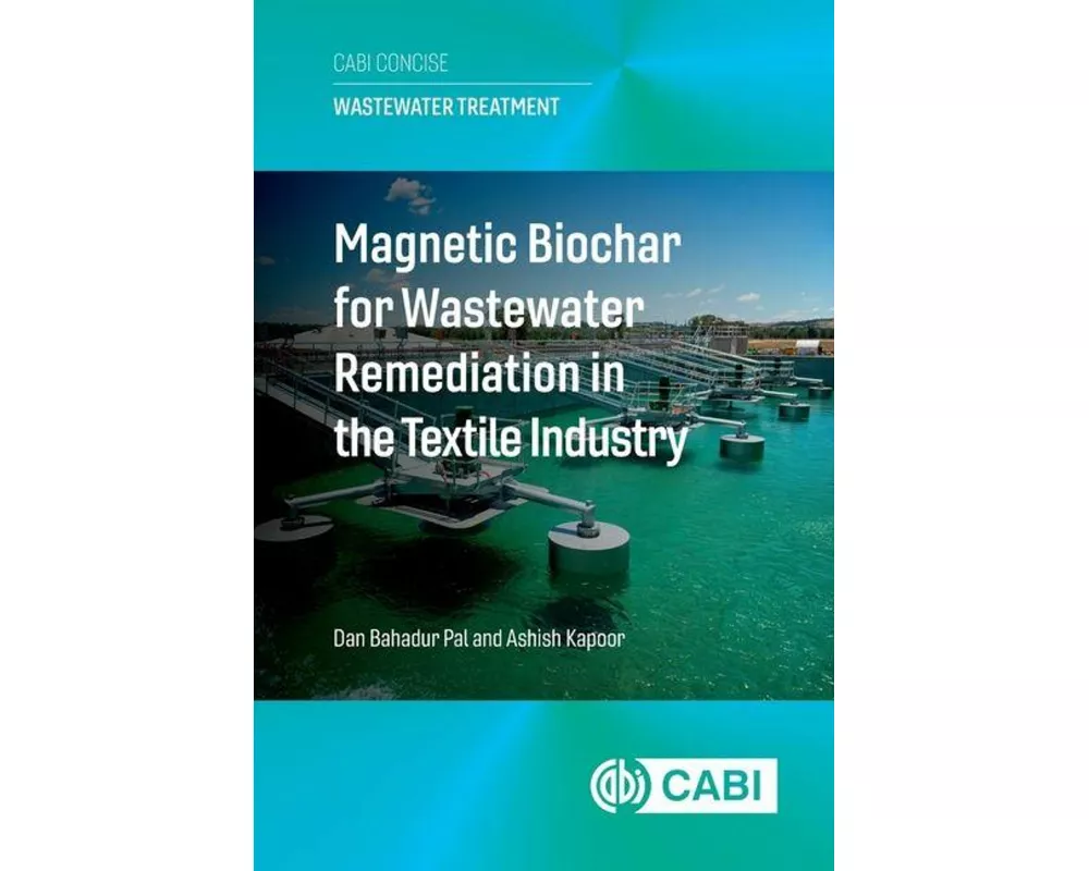 Magnetic Biochar for Wastewater Remediation in the Textile Industry