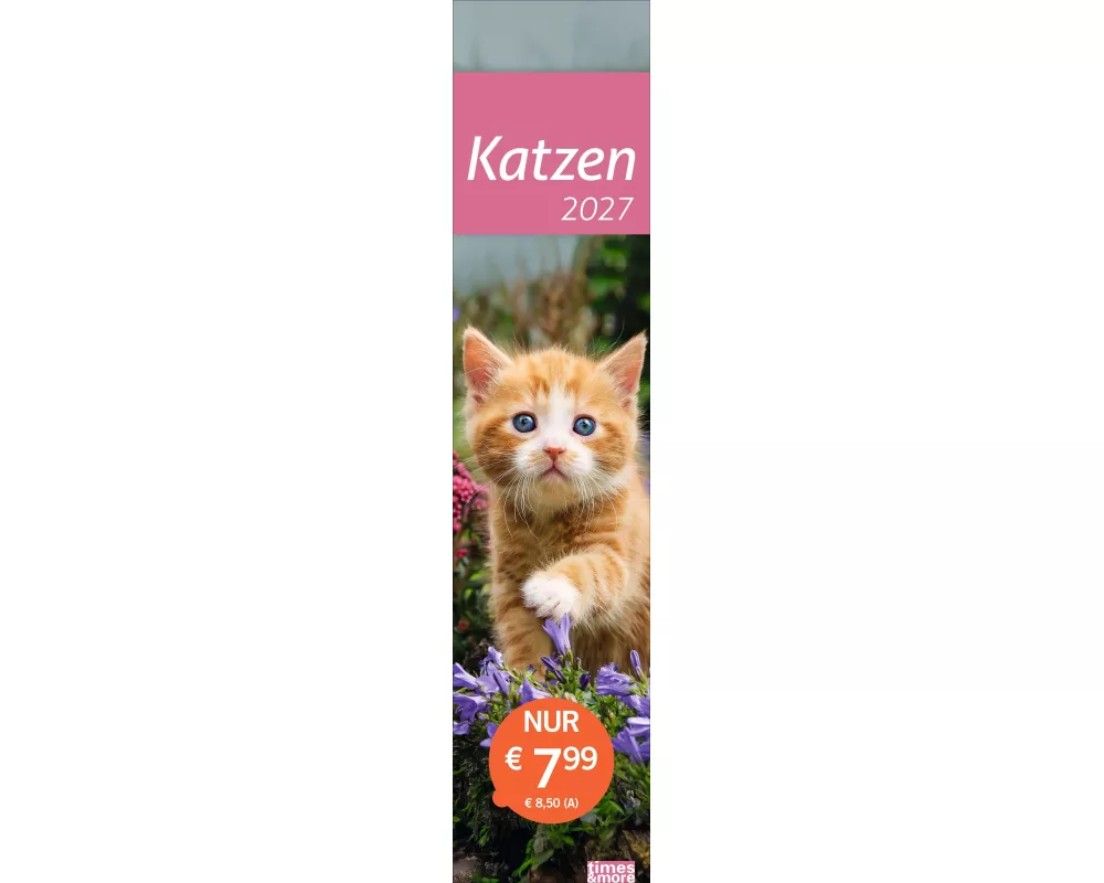 times&more Katzen Langplaner 2027