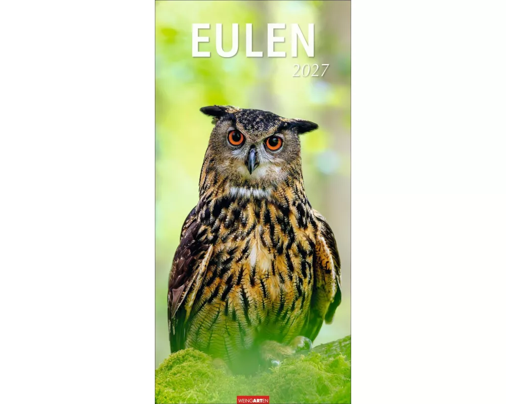 Eulen Kalender 2027