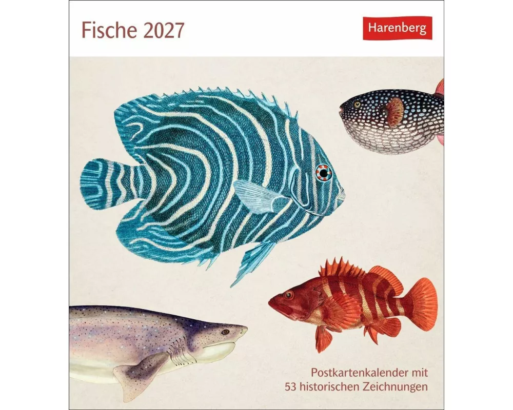 Fische Postkartenkalender 2027 - Postkartenkalender mit 53 historischen Zeichnungen