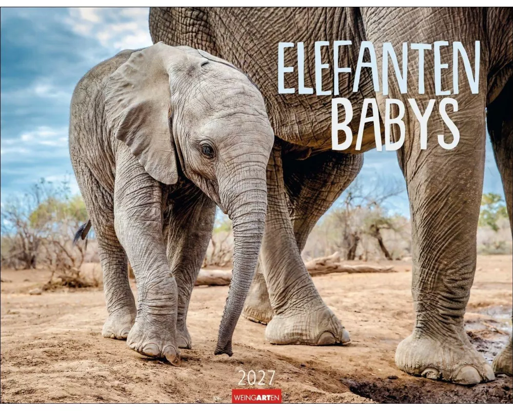 Elefantenbabys Kalender 2027