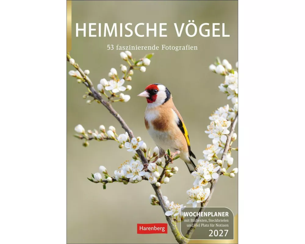 Heimische Vögel Wochenplaner 2027 - 53 faszinierende Fotografien