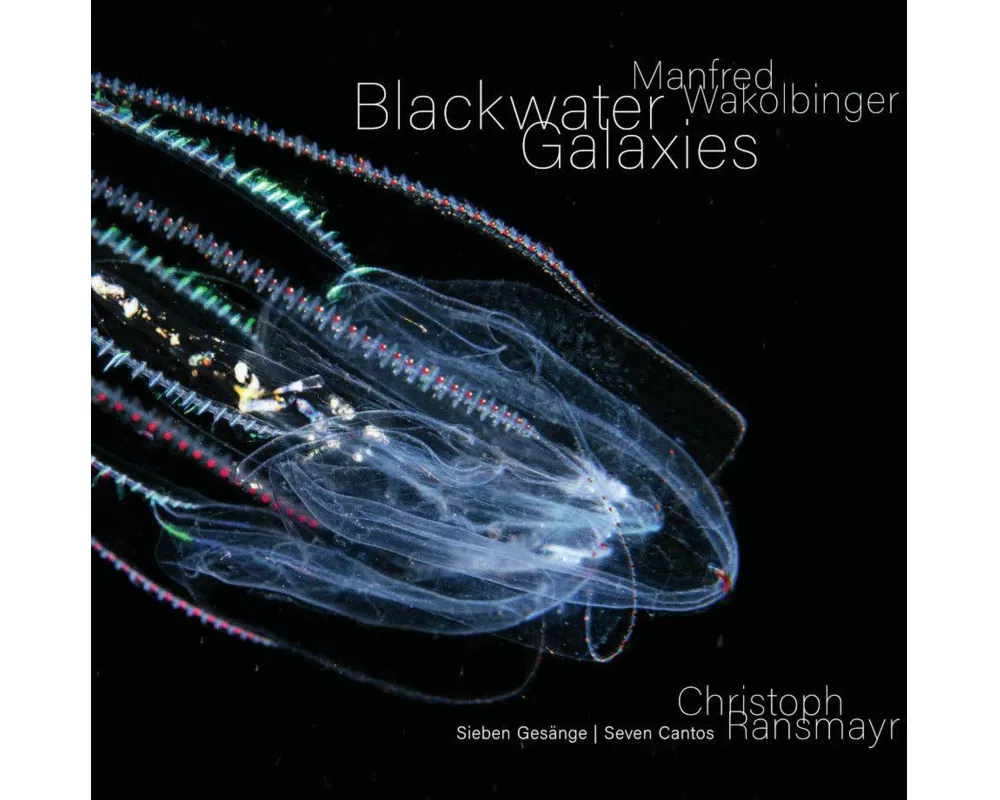 Manfred Wakolbinger - Blackwater Galaxies