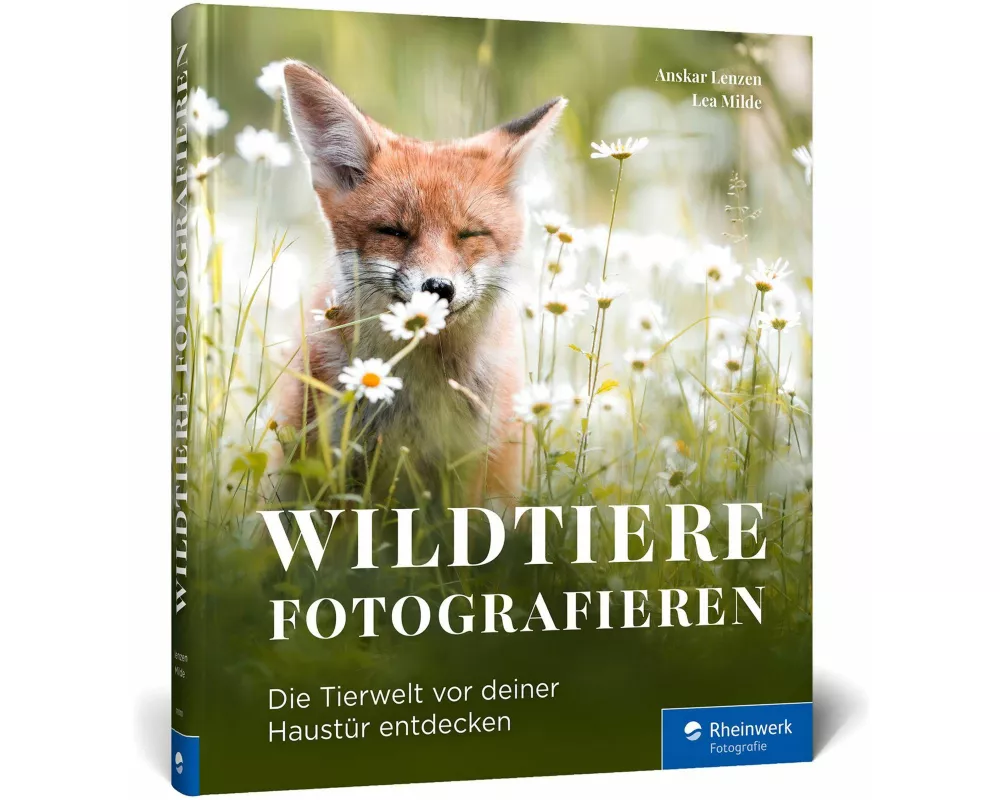Wildtiere fotografieren