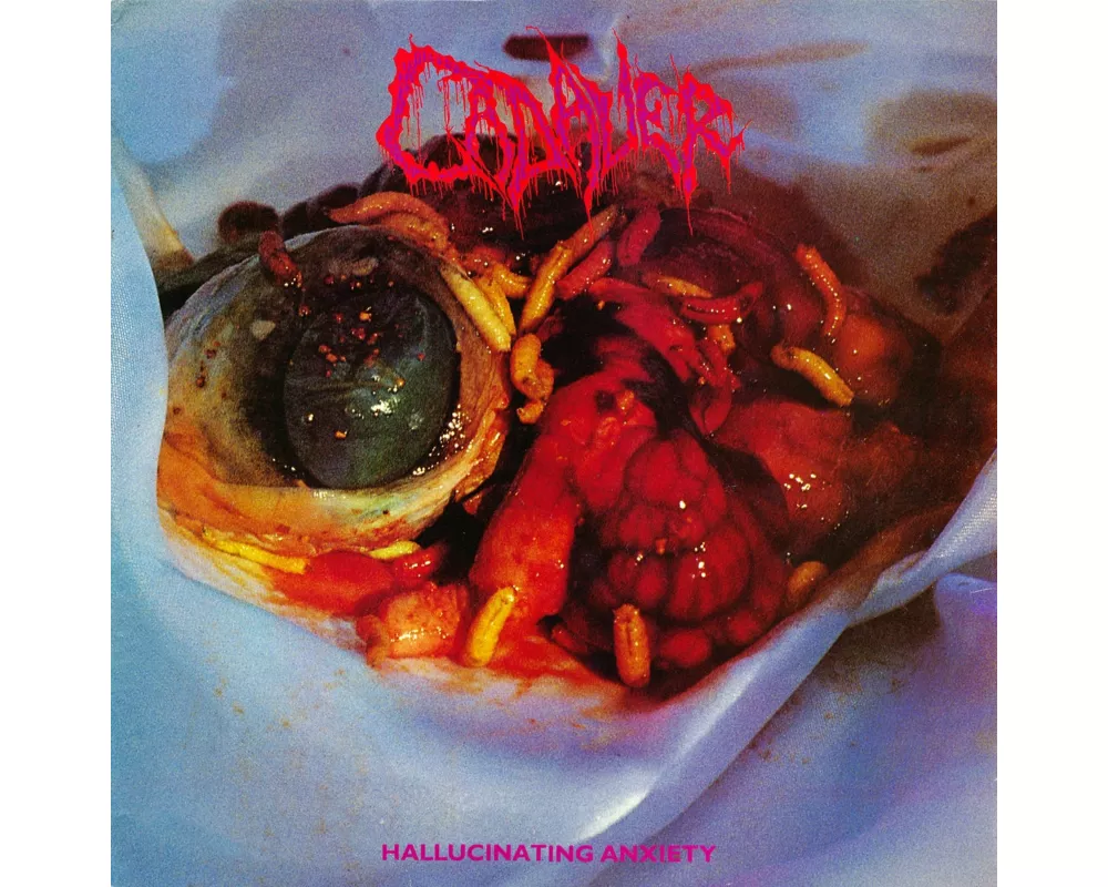 Hallucinating Anxiety (Digipak)