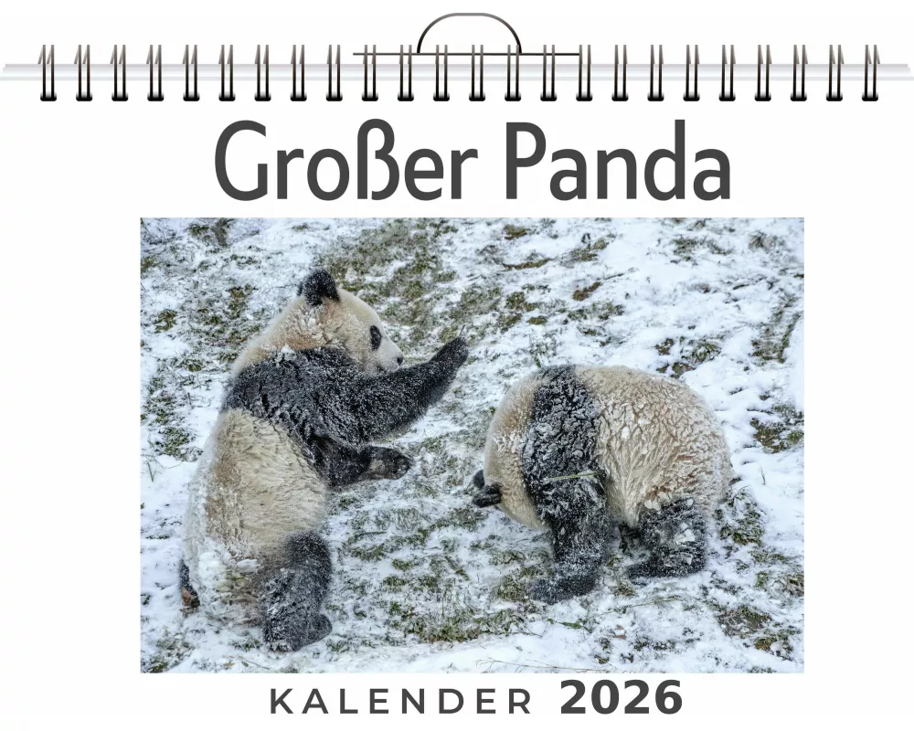 Großer Panda