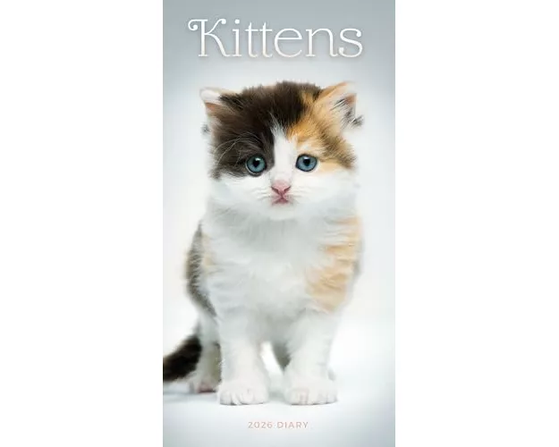 Kittens Slim Diary 2026