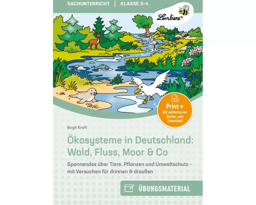 Ökosysteme in Deutschland: Wald, Fluss, Moor & Co