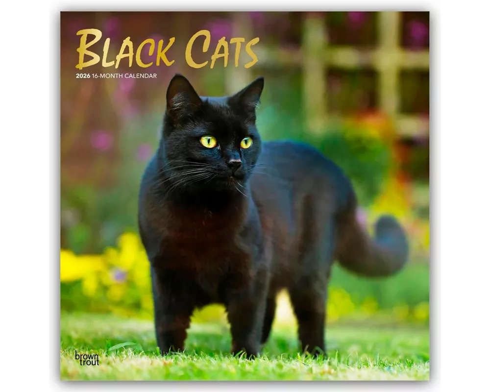 Black Cats 2026 12 X 24 Inch (Hanging) Monthly Square Wall Calendar Foil Stamped Cover Plastic-Free