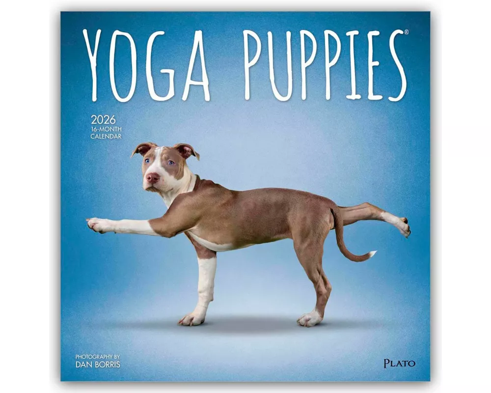 Yoga Puppies - Welpen Yoga 2026 - 16-Monatskalender