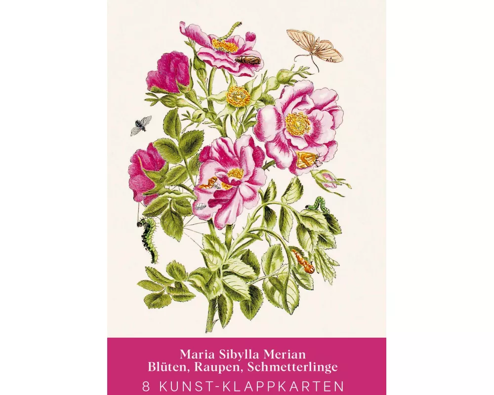 Maria Sibylla Merian - Acht Kunst-Klappkarten