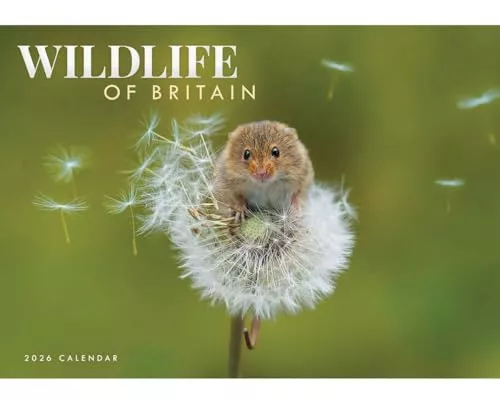 Wildlife Of Britain A4 Calendar 2026