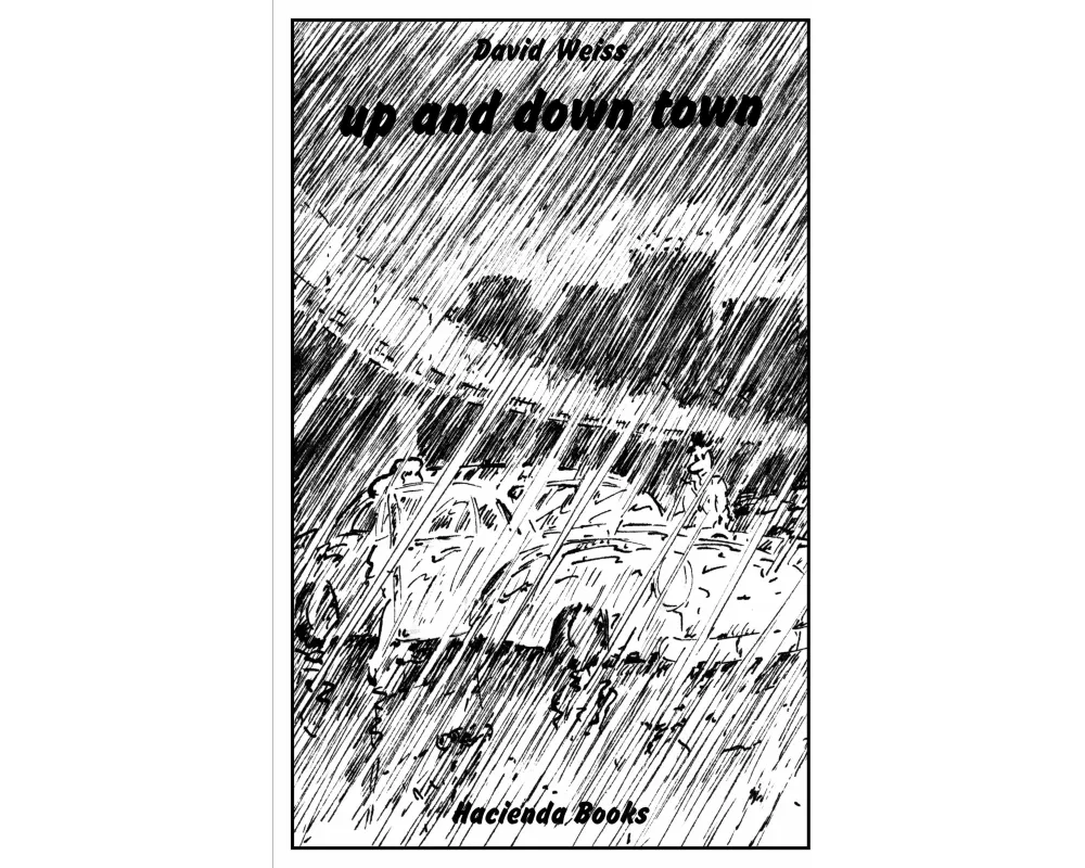 David Weiss - up and down town / Regenbüchlein